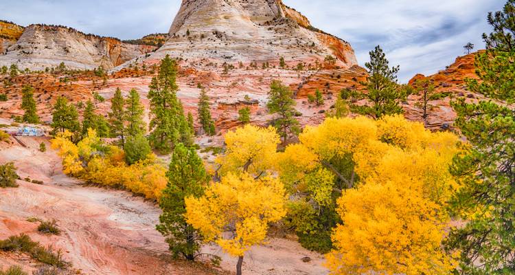 Kleurrijke herfstbomen contrasteren met de gestreepte zandsteenheuvels van Zion National Park onder een zachte bewolkte hemel.