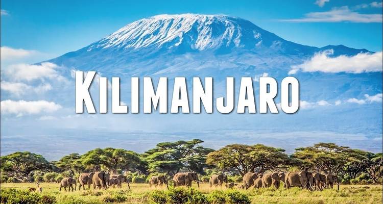 7 Days Mount Kilimanjaro Climb- Rongai Route - Lights on Africa Destinations & Safaris 10
