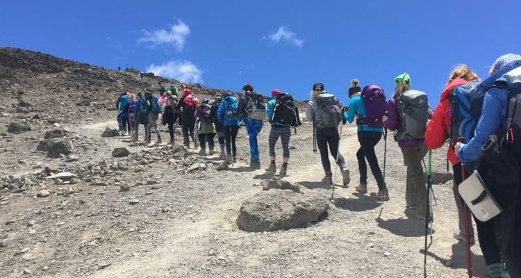 6 Days Kilimanjaro Climbing- Marangu Route - Lights on Africa Destinations & Safaris 8