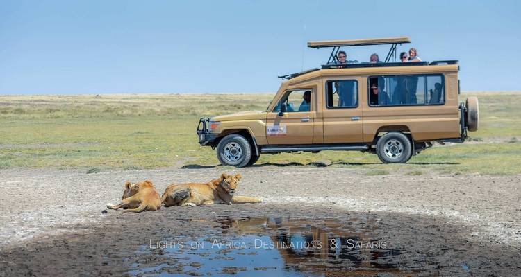 Safari de 3 días por el Serengeti y el Ngorongoro - Lights on Africa Destinations & Safaris 8