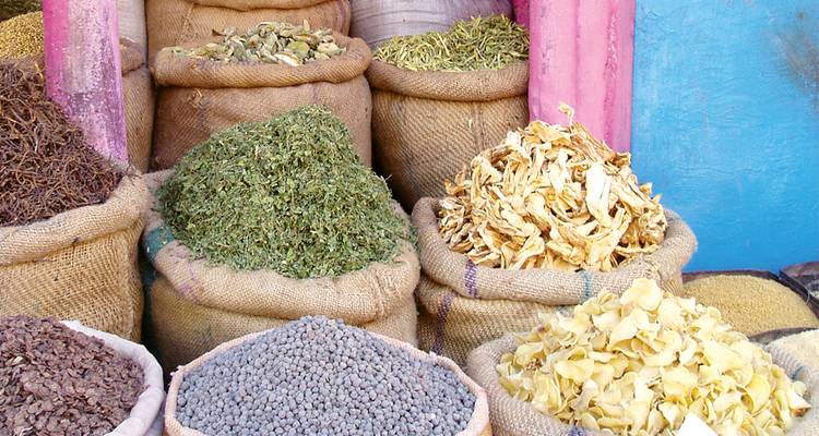 Rajasthan Adventure - Intrepid Travel 4