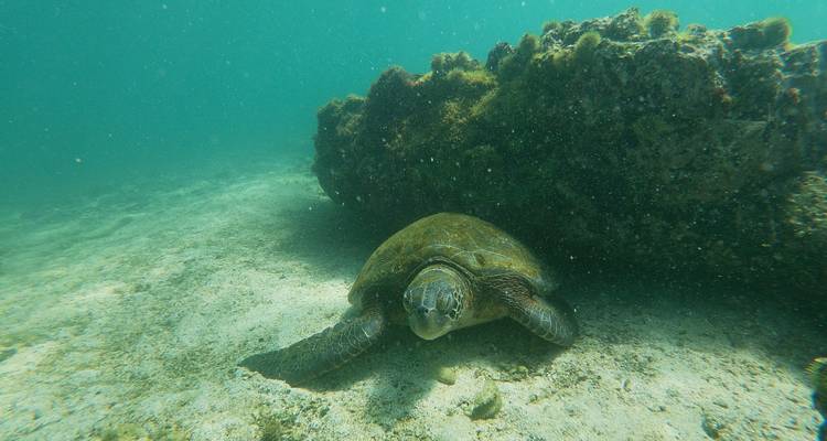 Circuit unique de 9 jours aux Galápagos - GUIDEcuador Travel 2