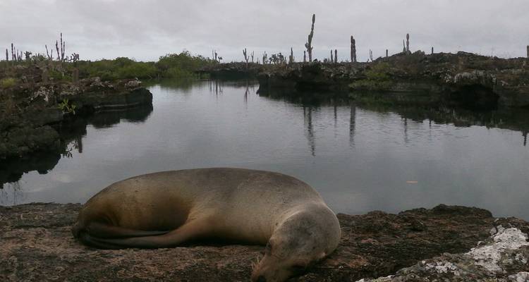 Circuit unique de 9 jours aux Galápagos - GUIDEcuador Travel 10