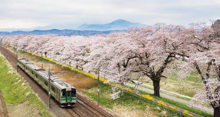Japón: tierra del sol naciente (de Tokio a Kioto) (16 destinations) - Intrepid Travel 8