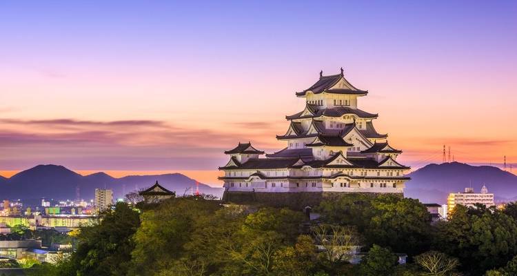Japón: tierra del sol naciente (de Tokio a Kioto) (16 destinations) - Intrepid Travel 9