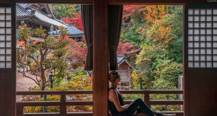 Personne assise dans un temple japonais avec des feuilles d'automne à l'extérieur.
