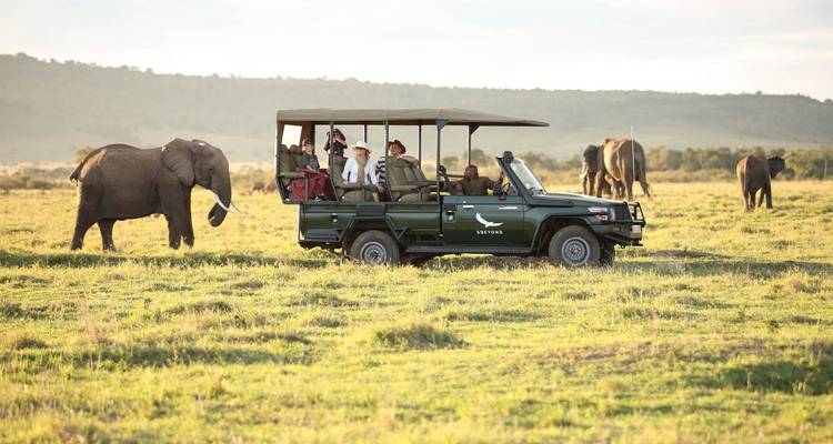 Safari combiné de 11 jours au Kenya et en Tanzanie - Kiriwe Travel And Trekking Safaris Ltd 6