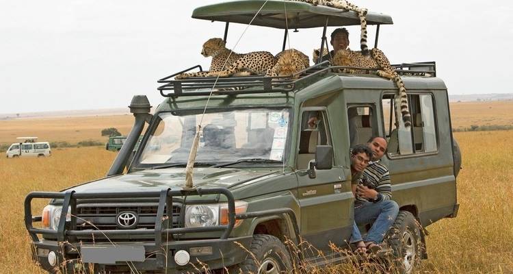 7 jours de safari époustouflant au Kenya avec les Big 5 - Confort - Gracepatt Ecotours Kenya 7