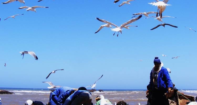 6-Days Private Tour: Marrakech, Essaouira, & Desert trip to Fes - Marrakech Tour 8