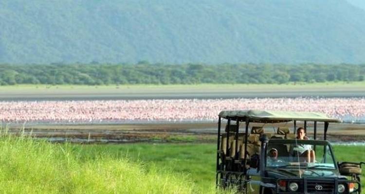 6 Days 5 Nights Luxury Safari to Lake Manyara, Serengeti & Ngorongoro - Lonely Site Tours & Safari 10