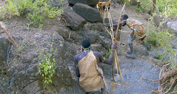 6 Days 5 Nights Luxury Safari to Lake Manyara, Serengeti & Ngorongoro - Lonely Site Tours & Safari 2