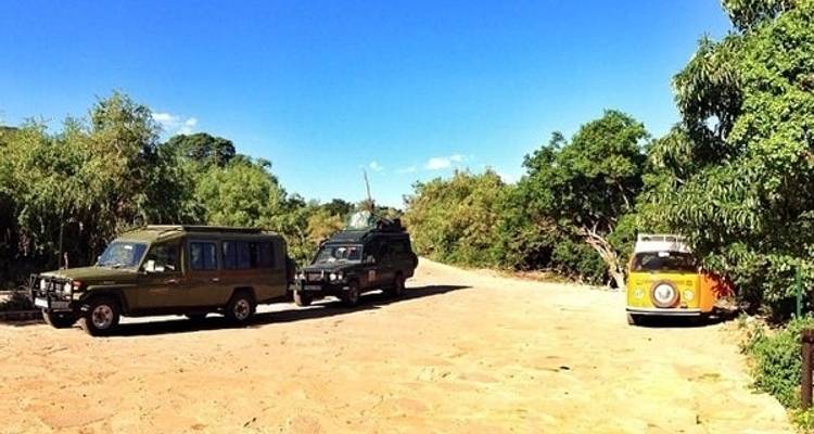 6 Days 5 Nights Luxury Safari to Lake Manyara, Serengeti & Ngorongoro - Lonely Site Tours & Safari 6