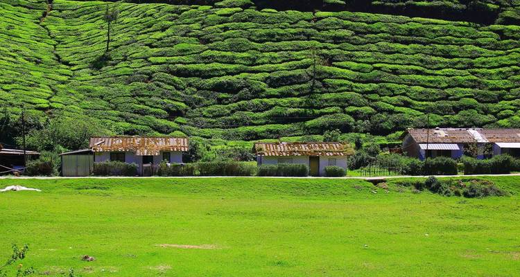 Pride of South India - Alkof Holidays 3