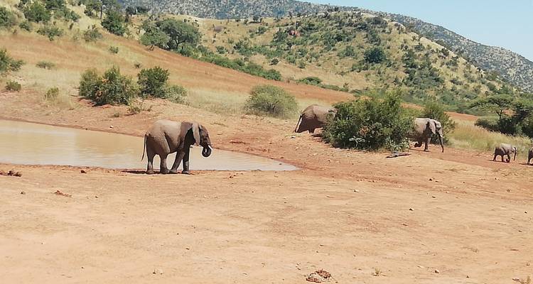 Explorez le Gauteng et la réserve naturelle de Pilanesberg - Timeline Travel DMC 4