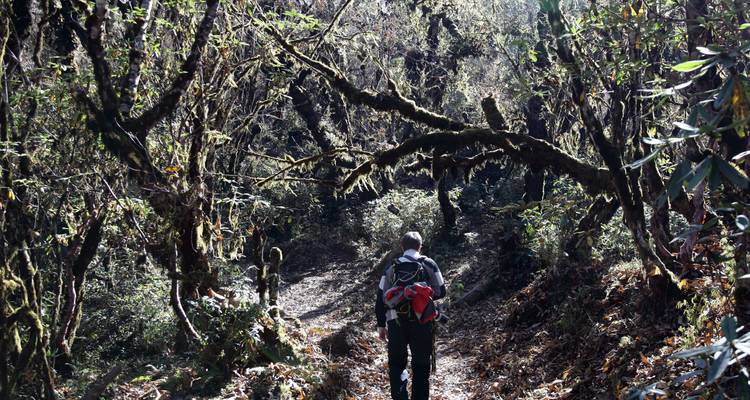Druk Path Trek avec visite culturelle et Trek à Taktsang - Bhutan Best Inbound Tour 3