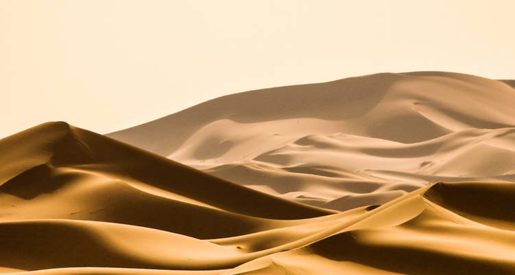 Vastes dunes de sable aux ombres douces sous le soleil.