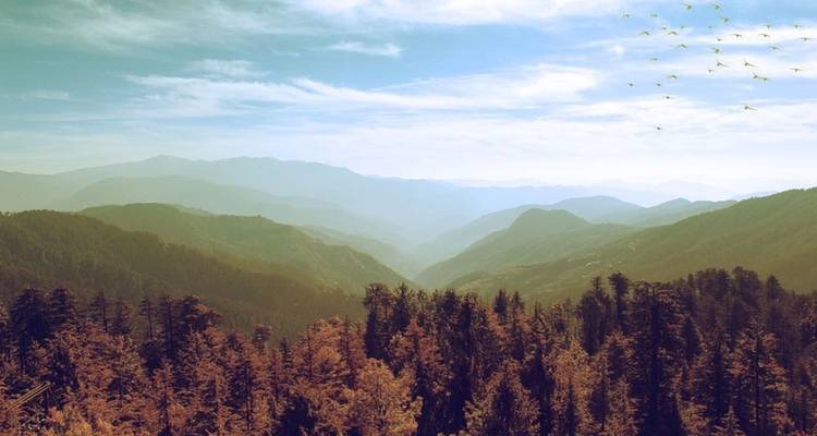 Circuit Shimla Manali Chandigarh - Alkof Holidays 10