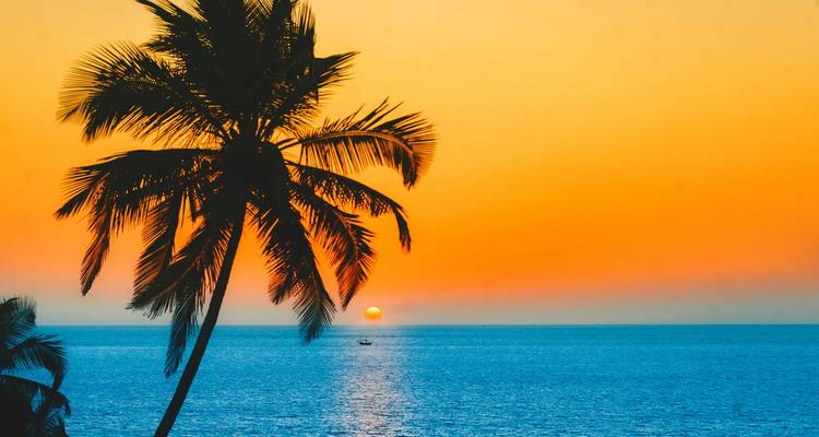 Palmen, die sich als Silhouetten gegen einen lebendigen Sonnenuntergang über dem Meer abzeichnen.