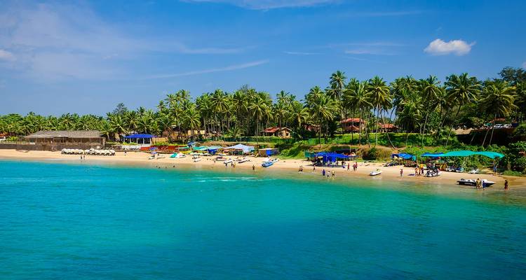 Ein malerischer Strand in Goa mit türkisfarbenem Wasser und Palmen.