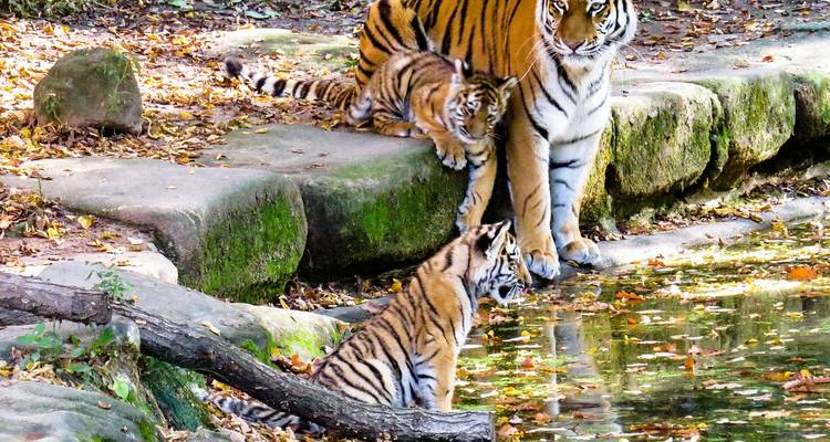 Viaje a la India más allá del triángulo de oro - Alkof Holidays 1