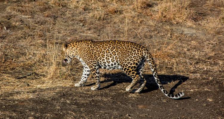 Viaje a la India más allá del triángulo de oro - Alkof Holidays 7