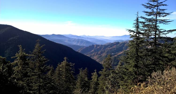 Berglandschaft mit Bäumen und weiten Ausblicken.