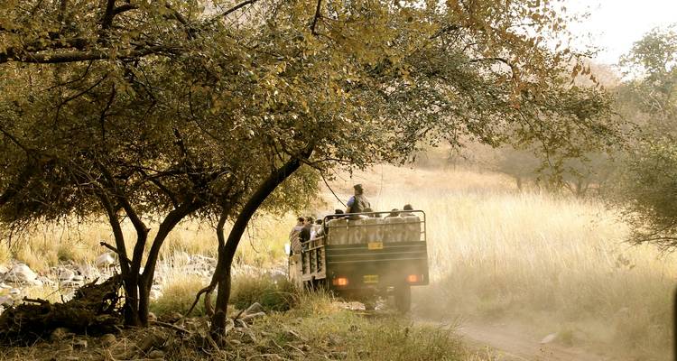People on a safari vehicle in the wild landscape.