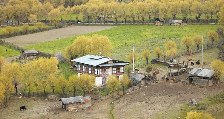 Country Vacation - Bhutan Scenic Tour - Bhutan Best Inbound Tour 4