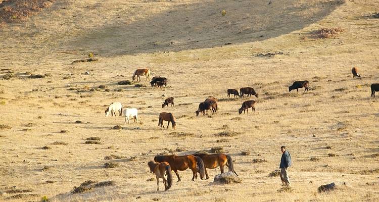 Country Vacation - Bhutan Scenic Tour - Bhutan Best Inbound Tour 9