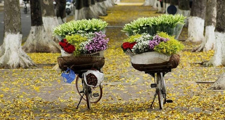 14 jours de vacances en famille au Vietnam - Swallow Travel 2