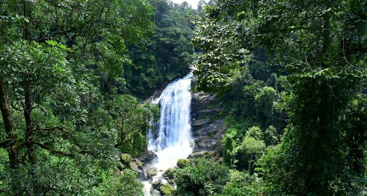 Kerala - Gods Own Country - Alkof Holidays 9