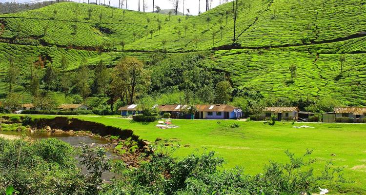 Kerala - Gods Own Country - Alkof Holidays 6