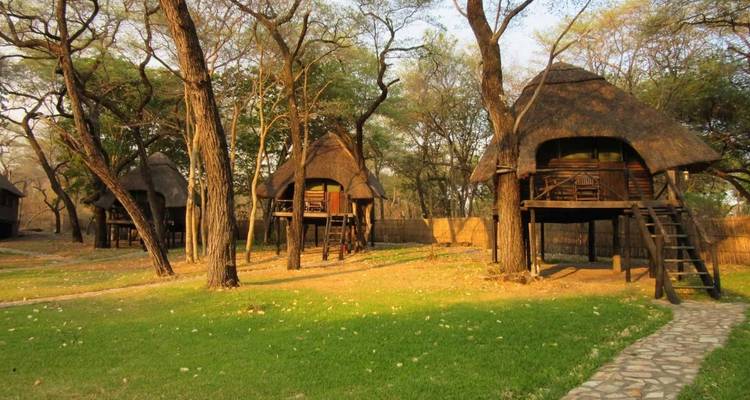 Cabañas de estilo africano sobre pilotes rodeadas de árboles.