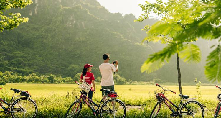 Turistas con bicicletas disfrutando de un paisaje soleado en una vegetación exuberante.