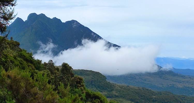 Expédition de 13 jours en Ouganda : Vivez des moments inoubliables avec les gorilles, la faune et les expériences culturelles - circuit privé - Mukisa Safaris Uganda 7
