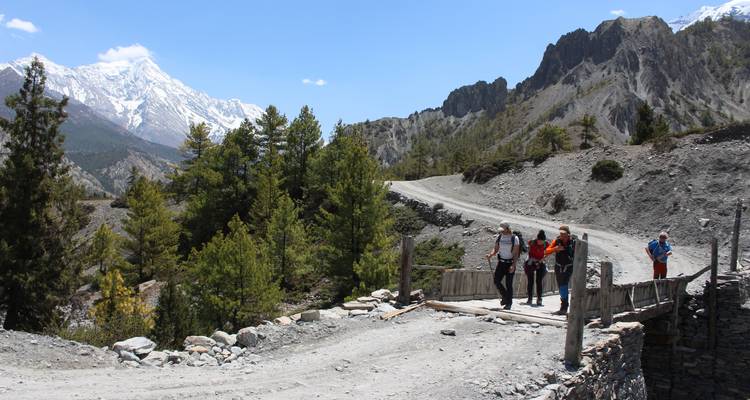 Trek du circuit de l'Annapurna - Hiking Adventure Treks Pvt Ltd  8