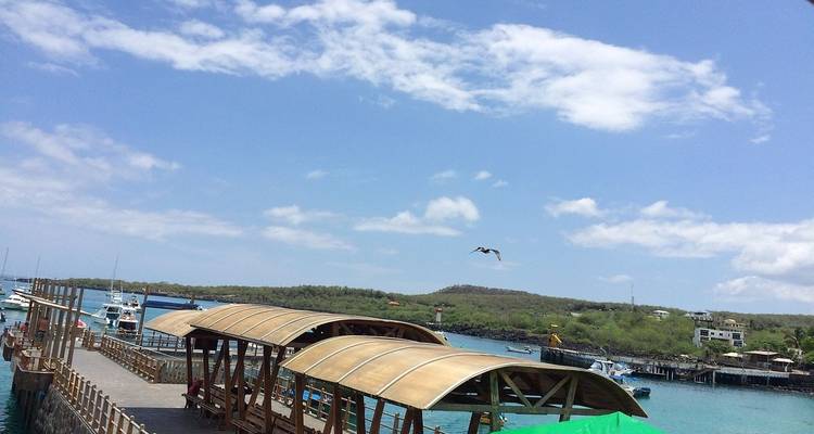 Aventura de 5 días: descubriendo Santa Cruz y San Cristóbal. - BM Tours 7