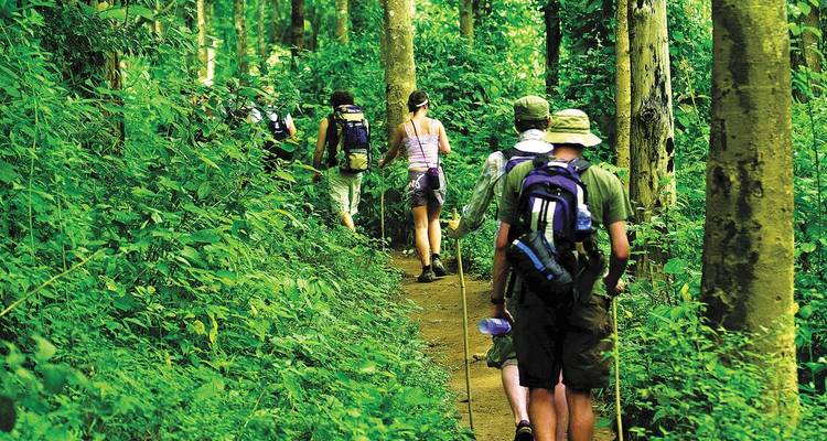 Una semana en Tailandia: kayak y tribus de las colinas - Intrepid Travel 8
