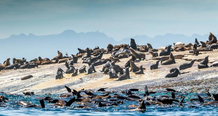 Cape Town & Beyond - 6 Days - Explore South Africa 6