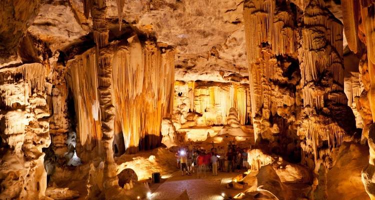 Cape Town & Beyond - 6 Days - Explore South Africa 7