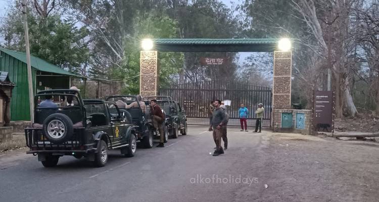 Los tigres del Taj y la Ciudad Rosa de la India - Alkof Holidays 1