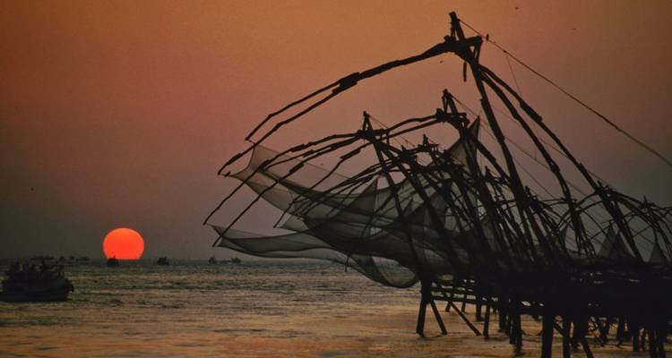Rejuvenecedor Viaje Ayurveda a Kerala - Alkof Holidays 3