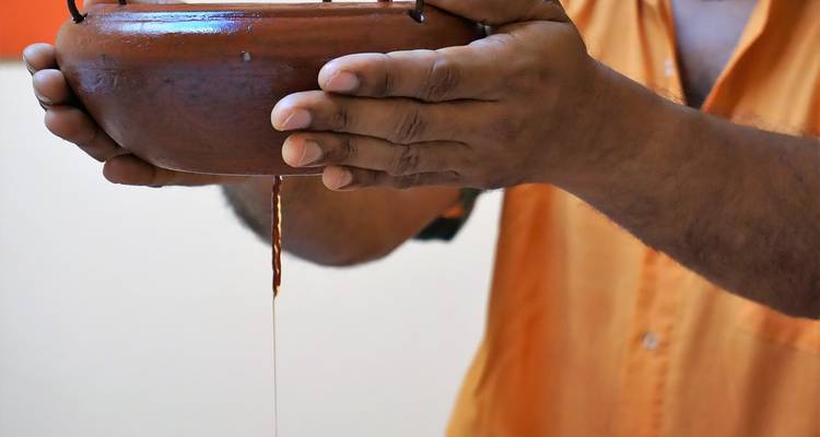 Rejuvenecedor Viaje Ayurveda a Kerala - Alkof Holidays 1