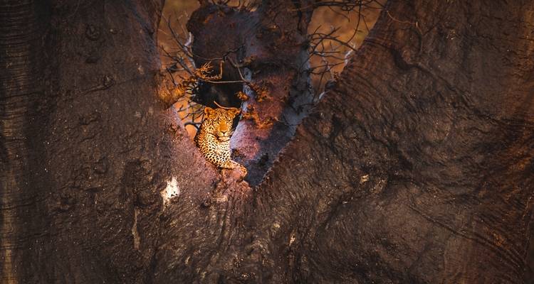 5 Days Serengeti Migration Safari - Gecko Adventure 2
