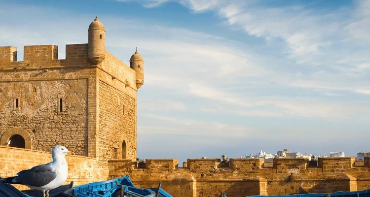 12 Days Tour from Marrakech - Guided Morocco Tours 9