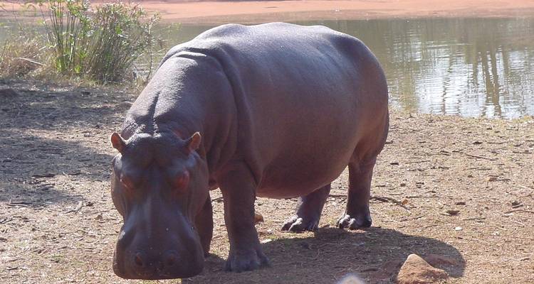 Safari sur la route des jardins - 4 jours - Explore South Africa 3