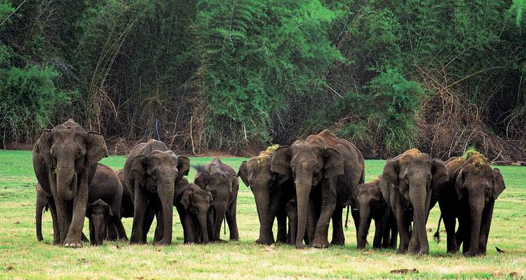 Serenity and Safari: A Journey Through Karnataka's Treasures - Agora Voyages OPC Pvt Ltd 10