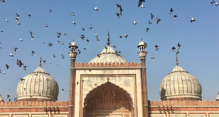 India's Golden Triangle Tour - Delhi Agra Jaipur Tour - Taj Mahal At Sunrise/Sunset 4 Days - Wonderful Holidays 8