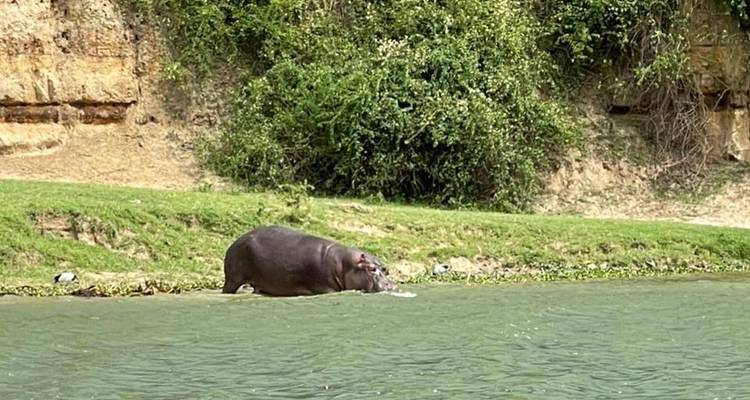 Experience Rwanda Golden Monkeys, Big 5 & Big Cats (Exclusively Private) - Devine African Safaris Ltd 9