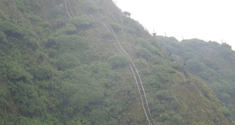Excursión de 3 días a los Chimpancés y Gorilas de la Selva de Kalinzu - Bamboo Ecotours 2